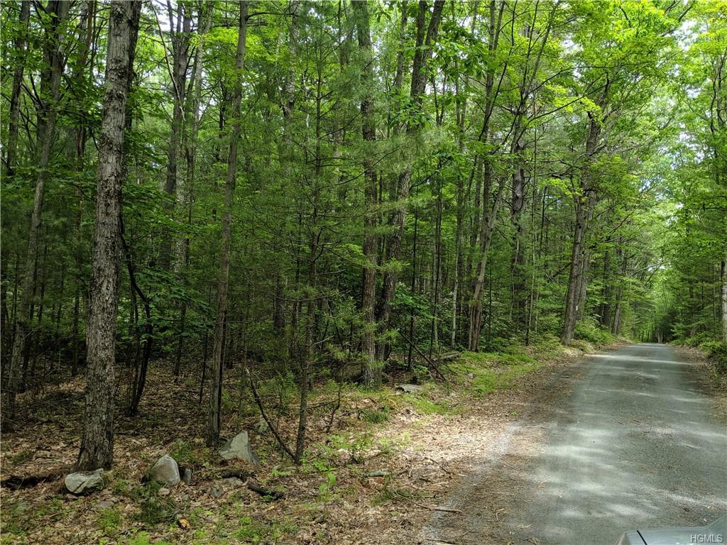 7 Allen Road - Photo 1