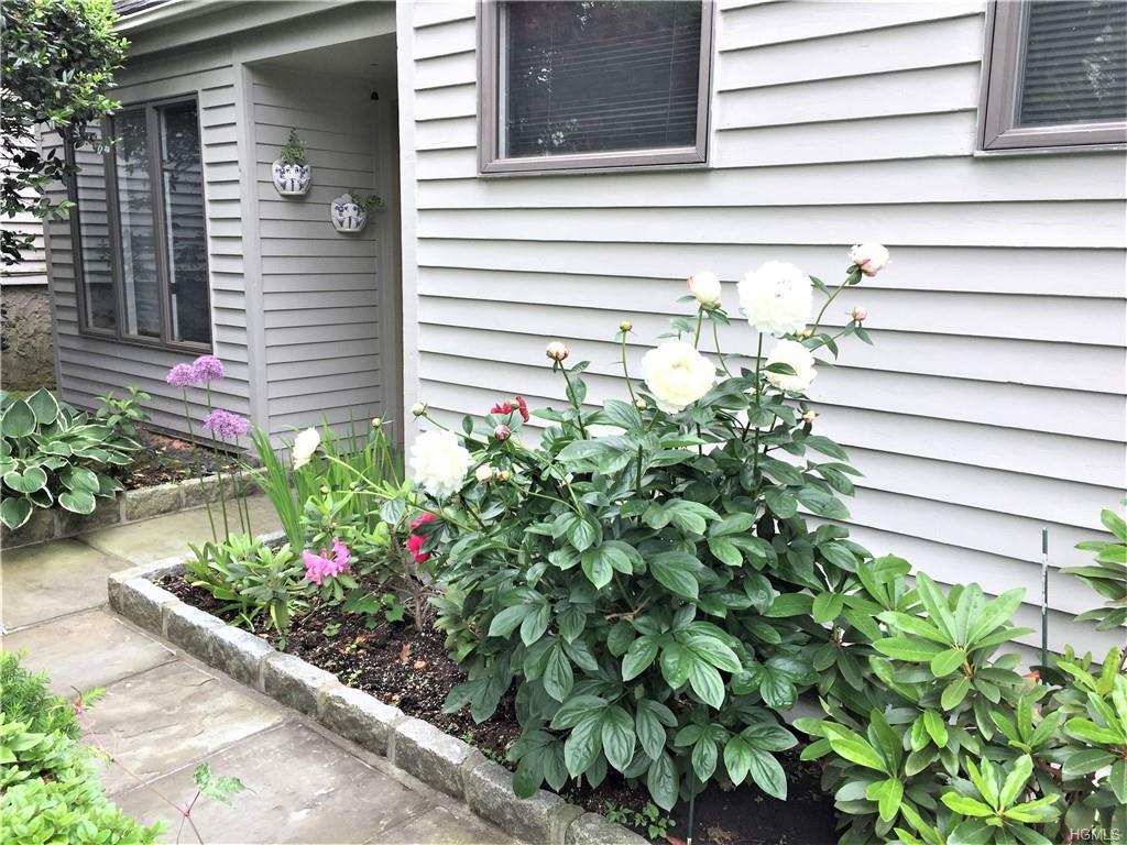 19 Evon Court - Photo 1