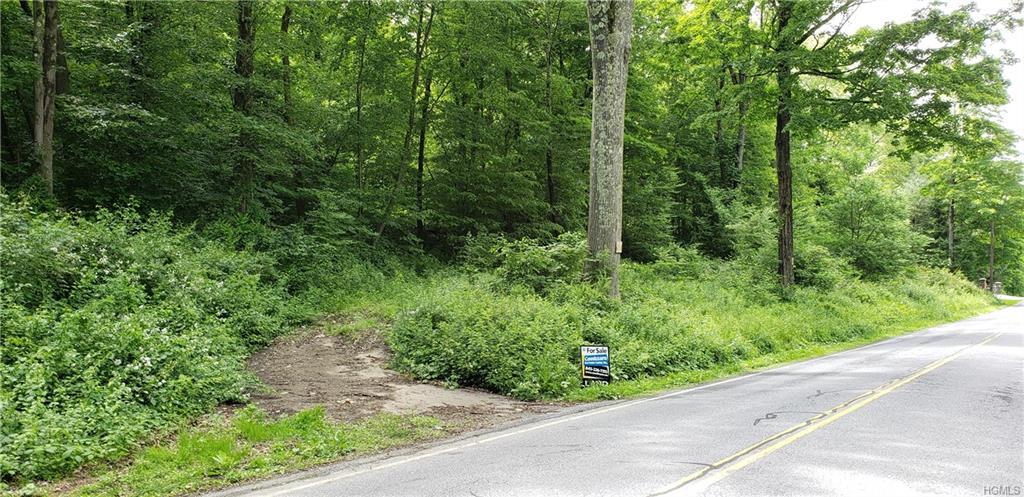 Halls Corners Road - Photo 1