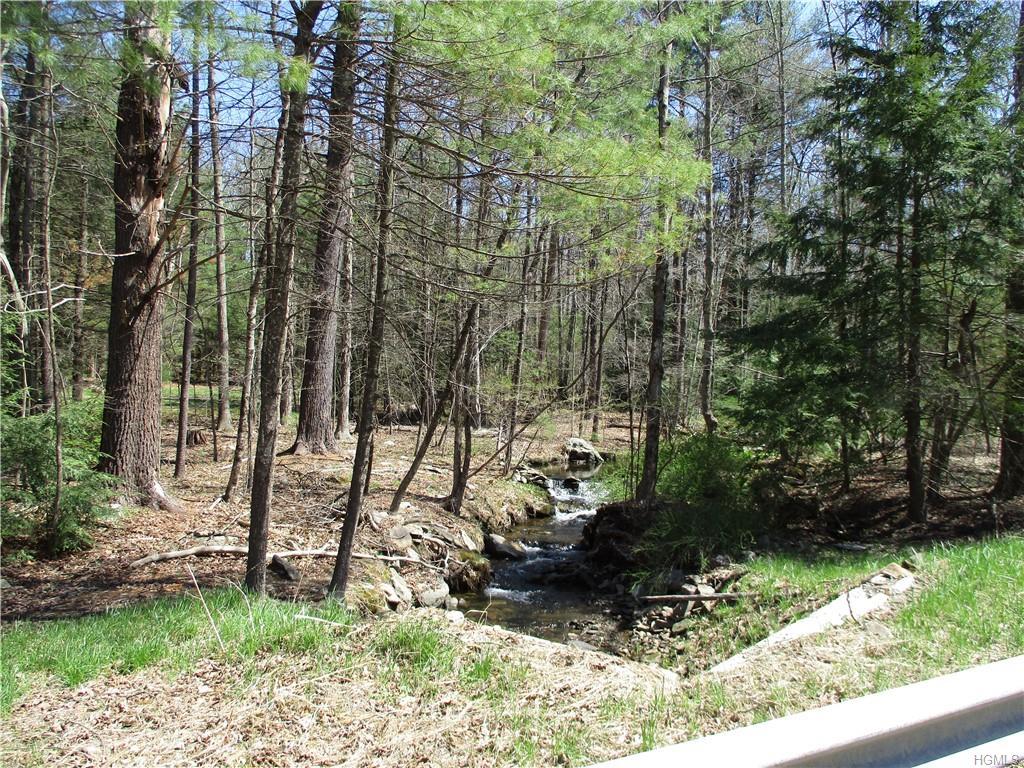 742 Peenpack Trail - Photo 1
