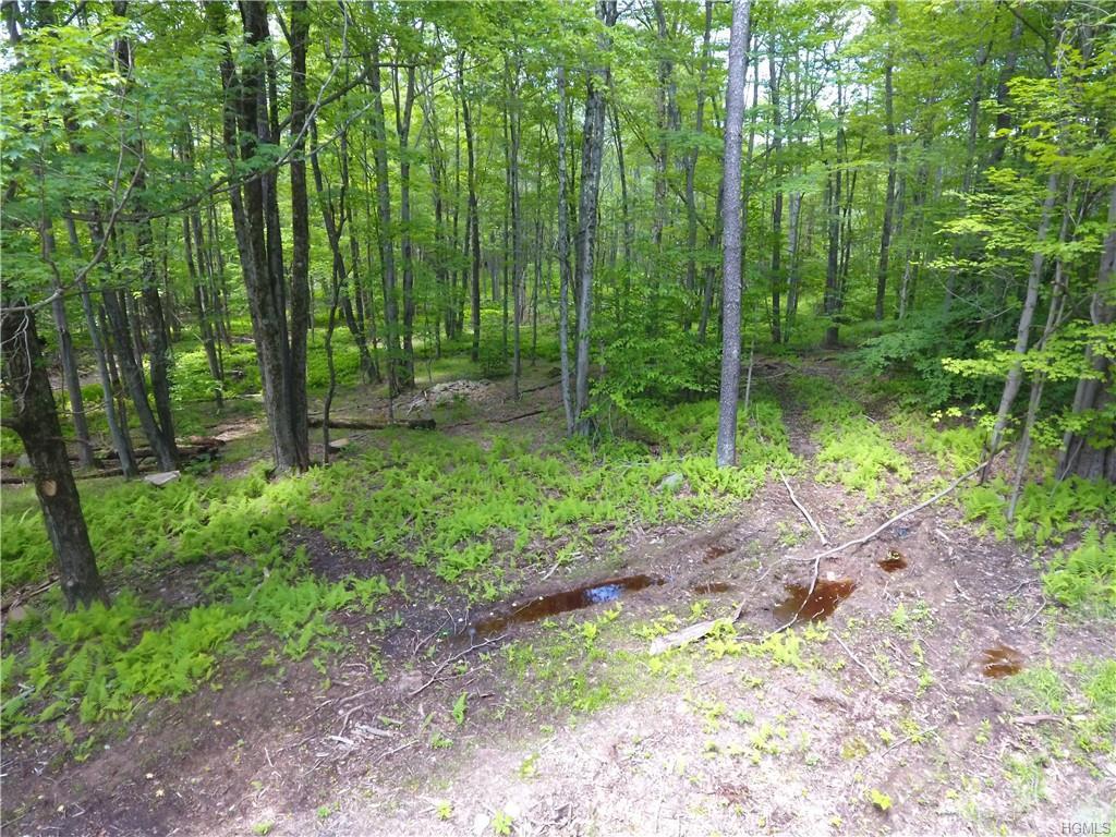 Lot 24-25 Tanzman Road - Photo 1