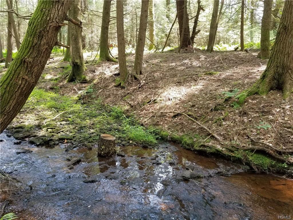 Lemons Brook Road - Photo 1