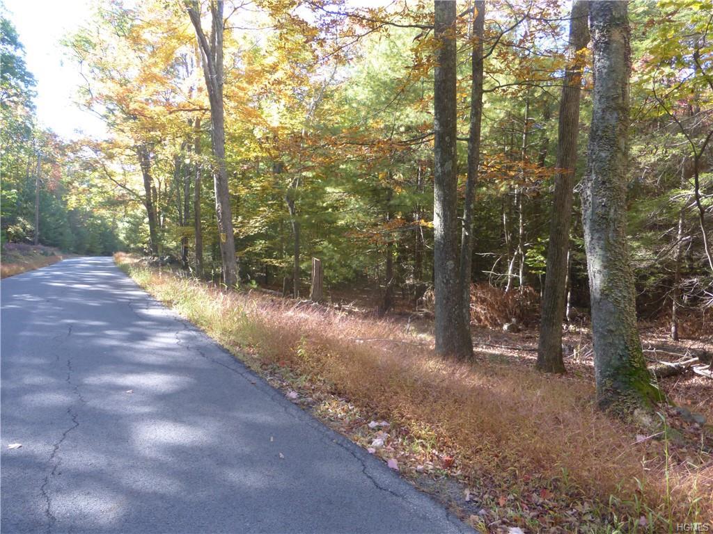 Upper Pine Kill Road - Photo 1