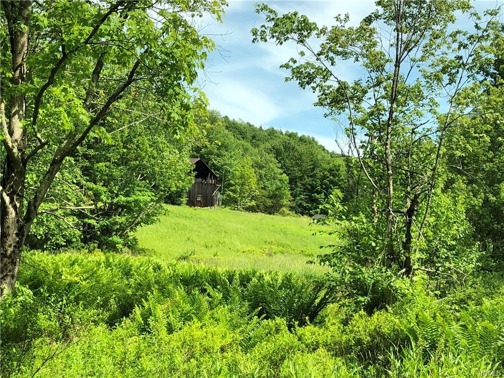 115 Hammer Road - Photo 1