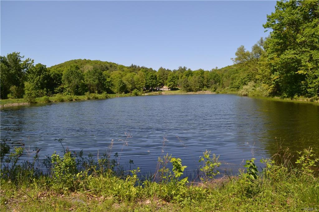 118 Skiba Road - Photo 1