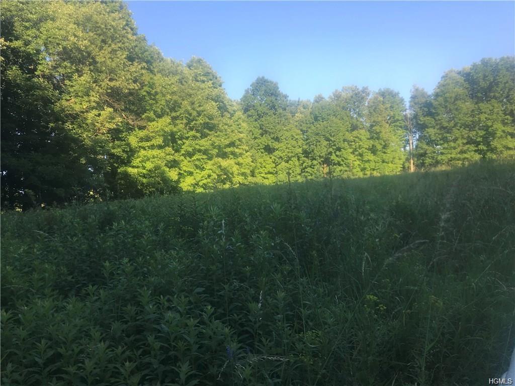 87 Susan Lane - Photo 1