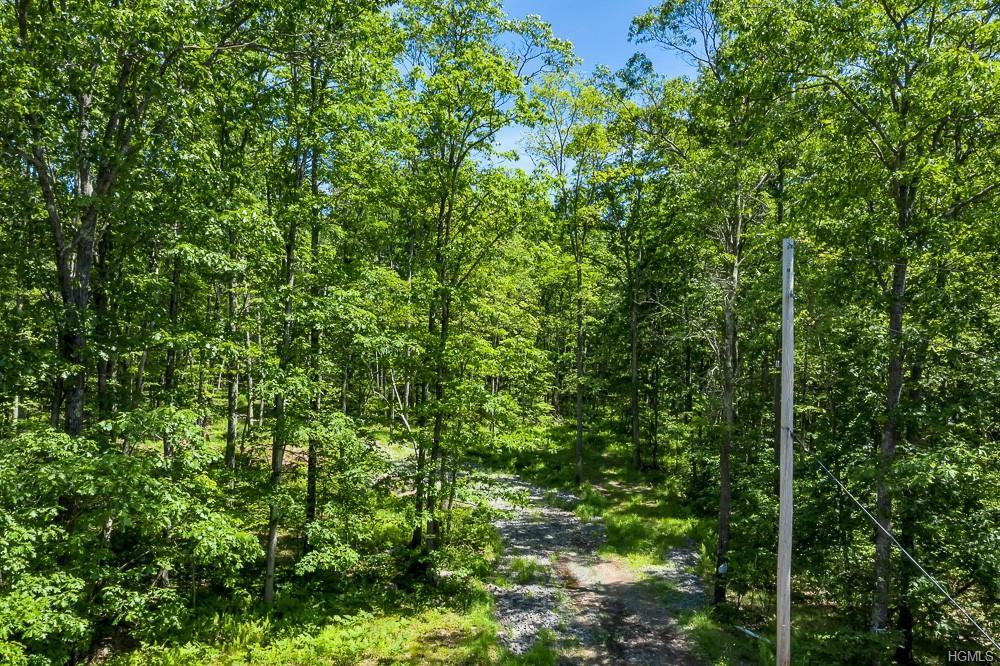 Trillium Trail - Photo 1 Trillium Trail - Photo 1
