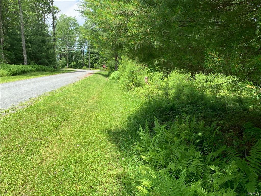 Lot 14 Misty Lane - Photo 1