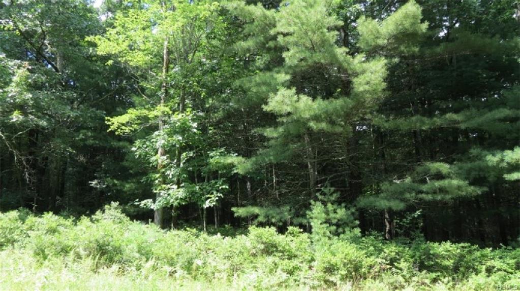 Lot #10 Francis Drive - Photo 1