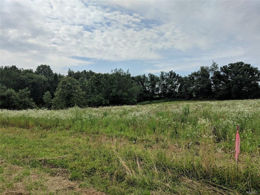 150-LOT 2 Schefflers Road - Photo 1