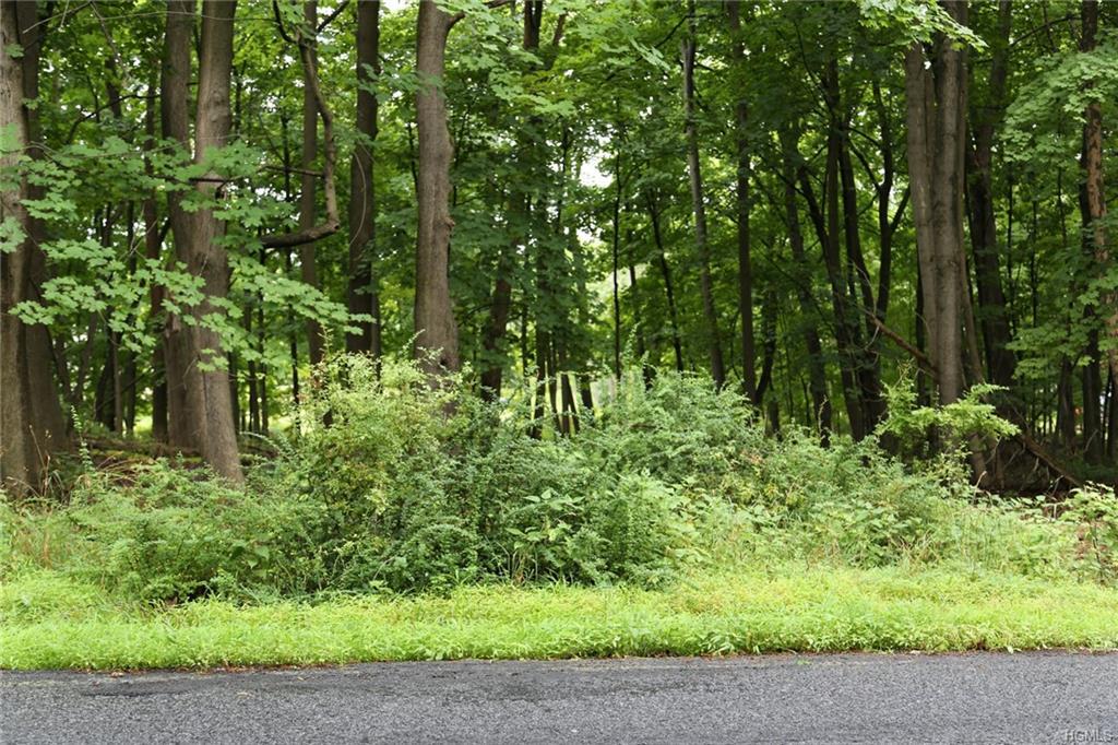 Bull Mill Road - Photo 1