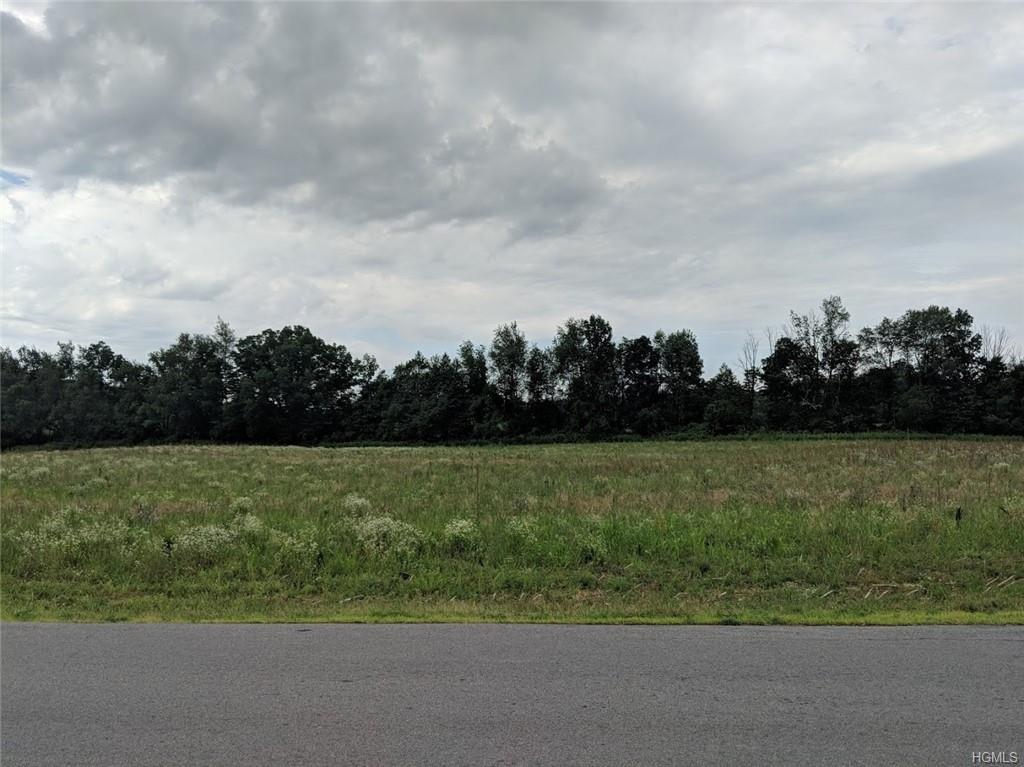 144-LOT 3 Schefflers Road - Photo 1