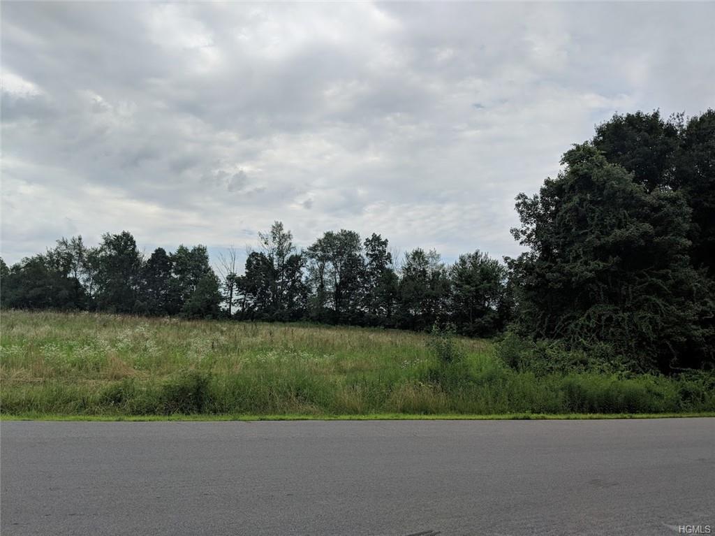 134-LOT 4 Schefflers Road - Photo 1
