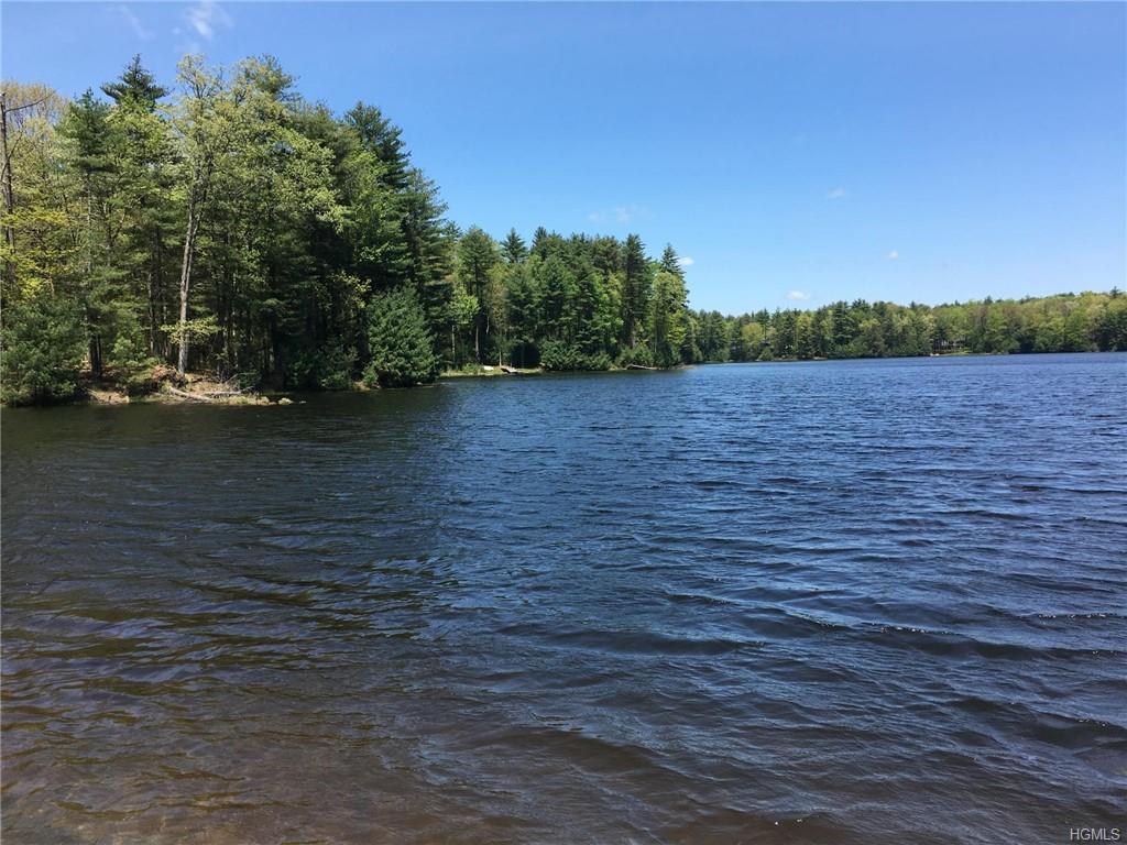 Lot 56 Timber Lake Drive - Photo 1