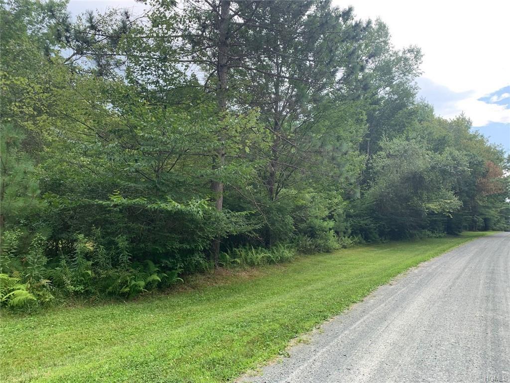 Lot 32 Top Ridge Trail - Photo 1
