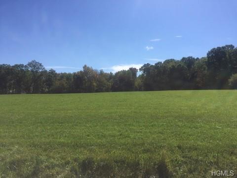 Lot #1 Mt. Salem Road - Photo 1 Lot #1 Mt. Salem Road - Photo 1