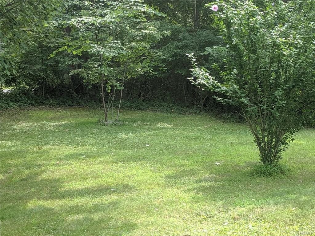 273 Lewis Lane - Photo 1