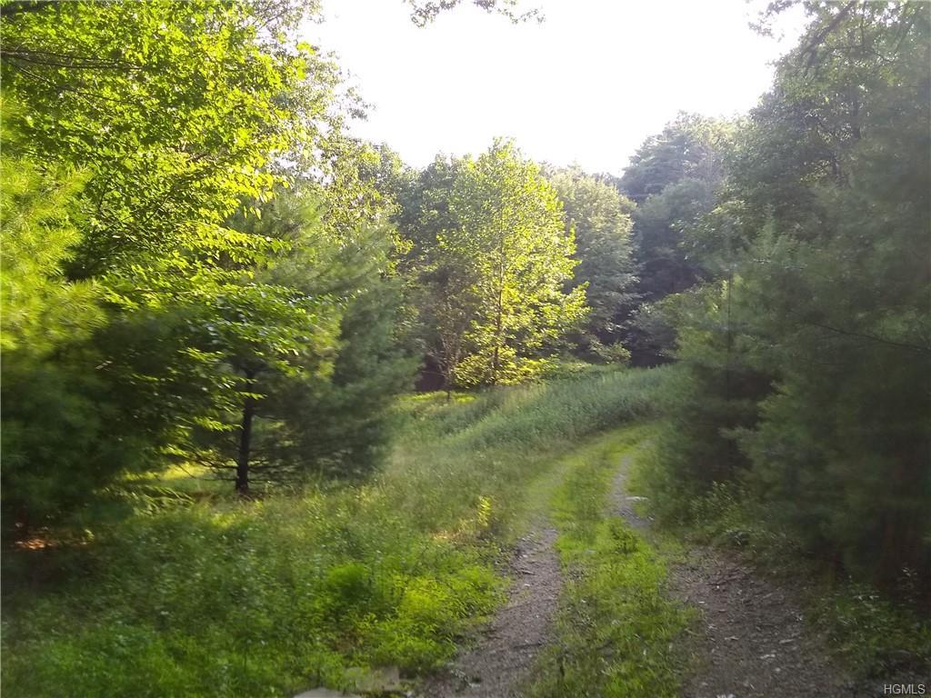 1833 State Route 209 - Photo 1