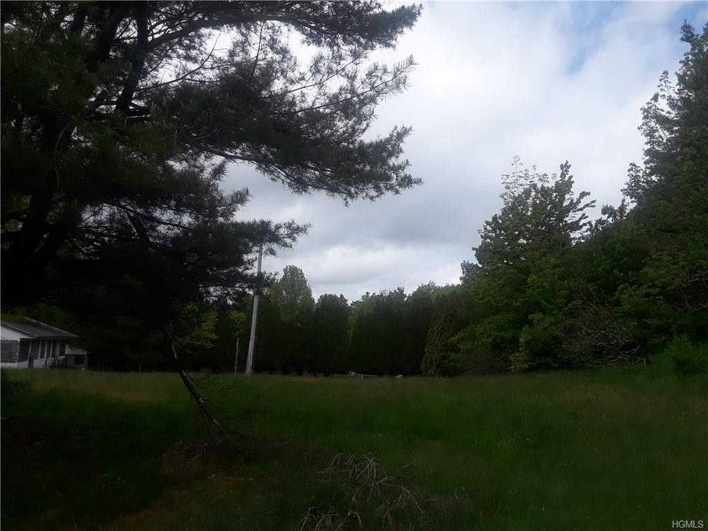 142 Forestburgh Road - Photo 1