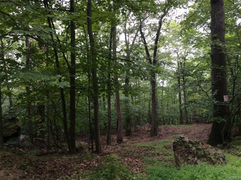 Cherry Tree Hill - Photo 1