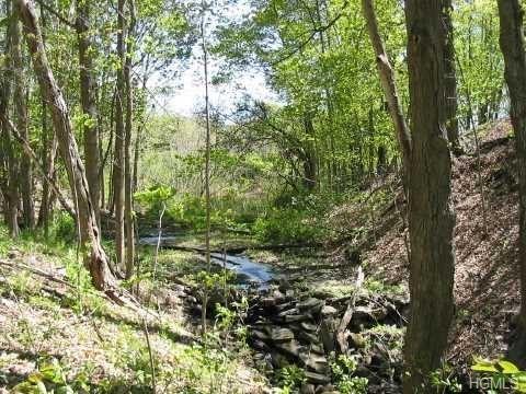 553 Plass Road - Photo 1