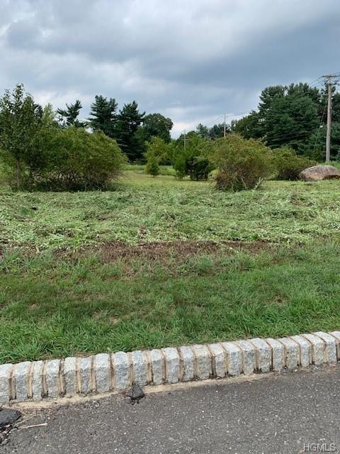 Lot 20 - 3 Golden Rod Lane - Photo 1
