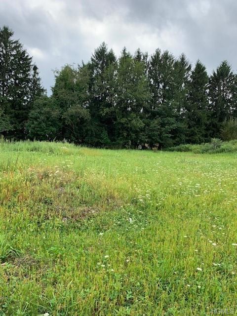 Lot 45 - 2 Golden Rod Lane - Photo 1