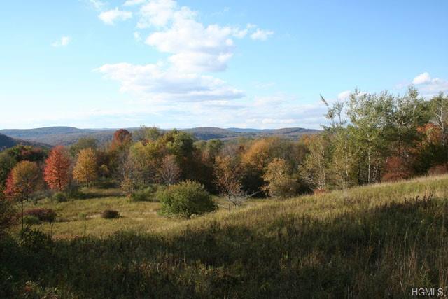 Skyline Drive - Photo 1