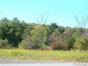 Nys Rte 94 - Photo 1