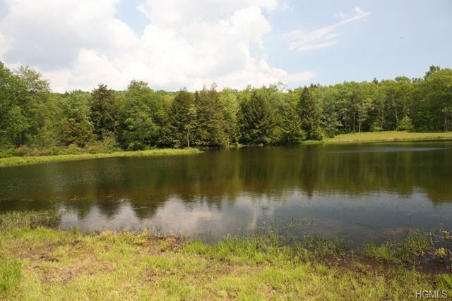 00 Terwilliger Road - Photo 1