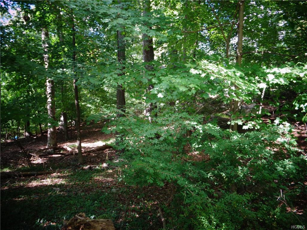 1690 Amazon (Lot A-2) Road - Photo 1