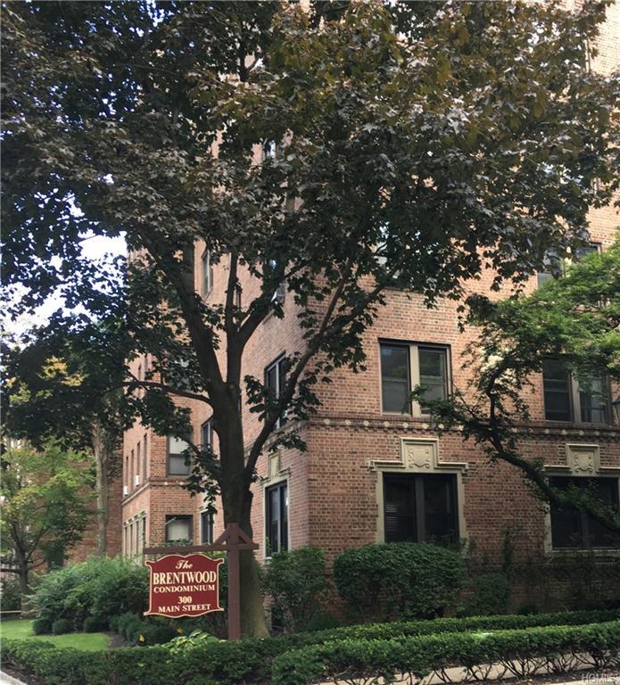 300 Main Street - Photo 1