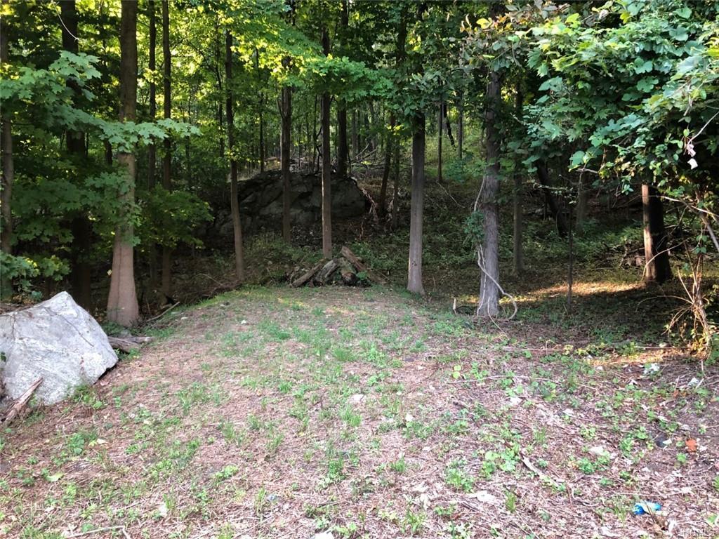 1 Oscawana Lake Road - Photo 1