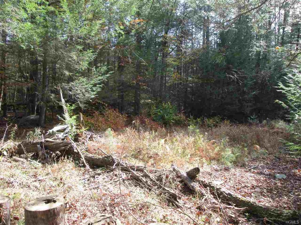 Diamond Road - Photo 1