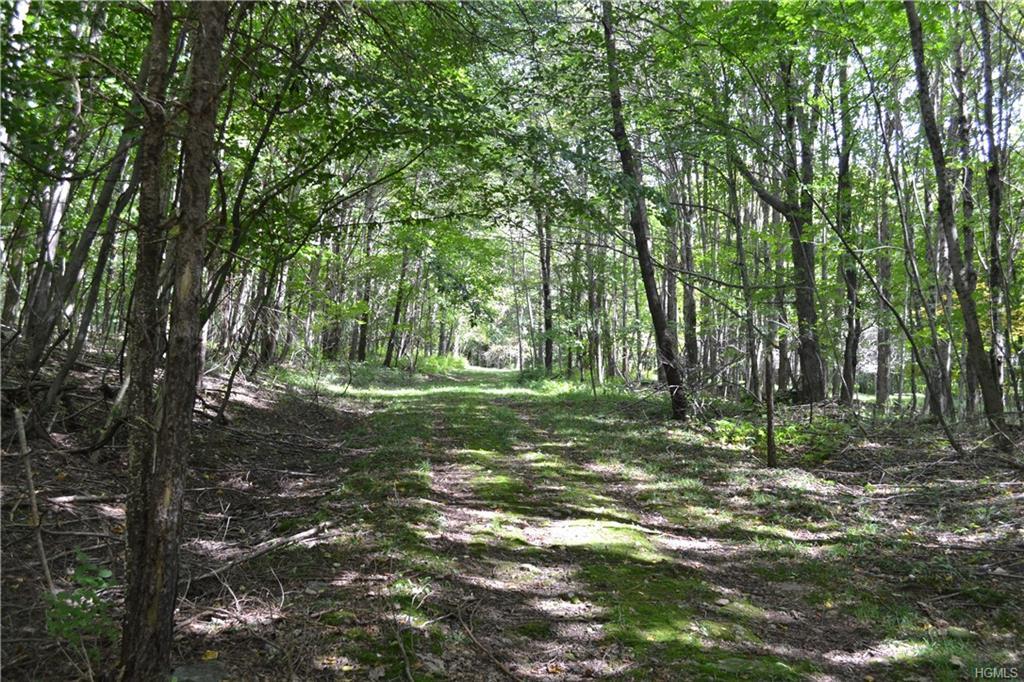 1710 Milton Smith Road - Photo 1