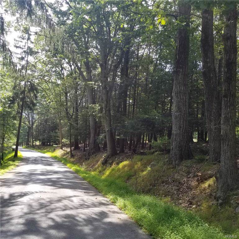 Mt Meenagha Road - Photo 1