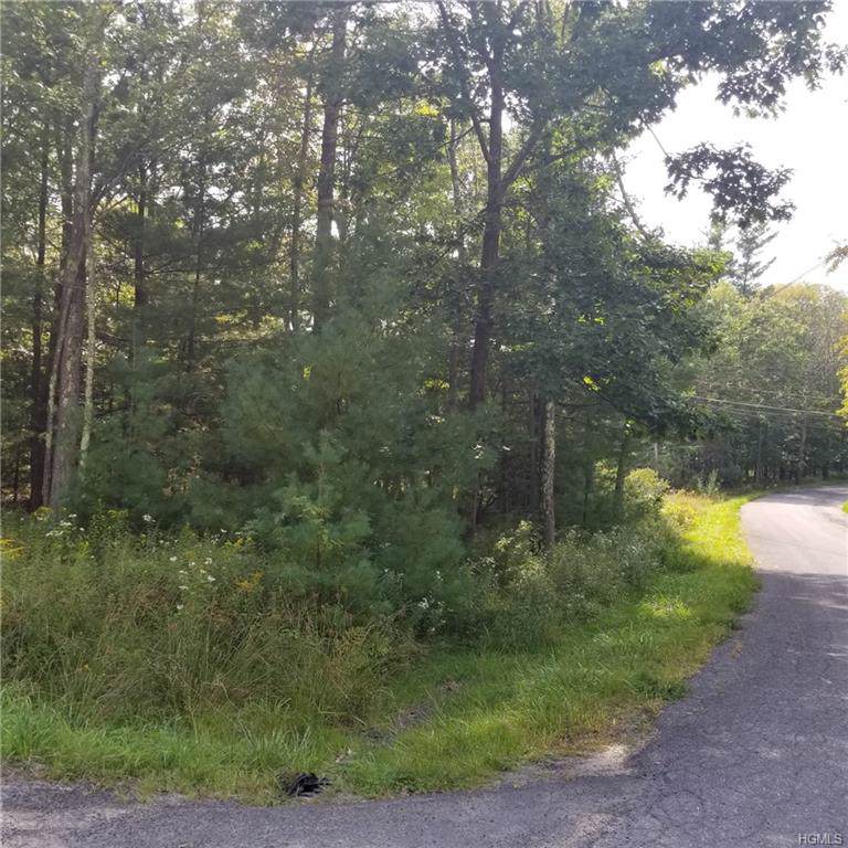 Otis Road - Photo 1