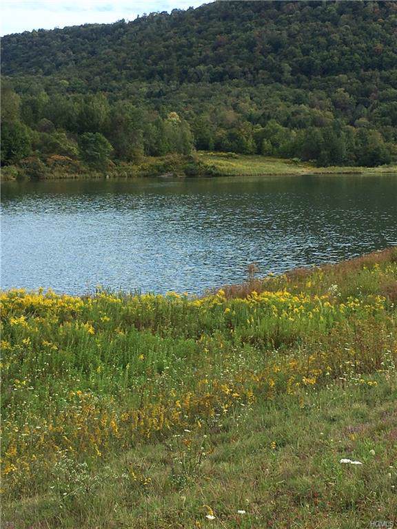 County Highway 206 - Photo 1