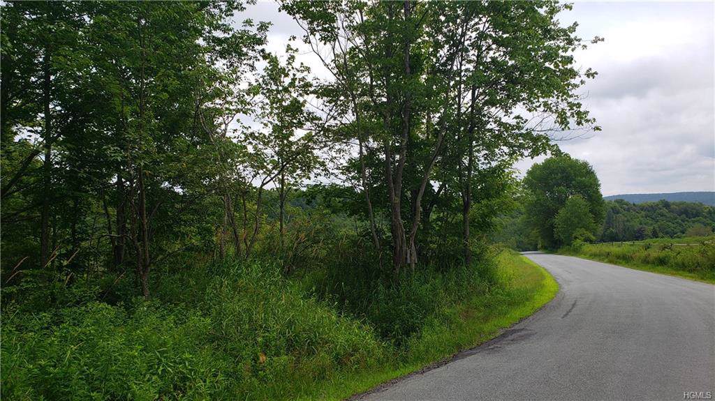 Tuttle Hill Road - Photo 1