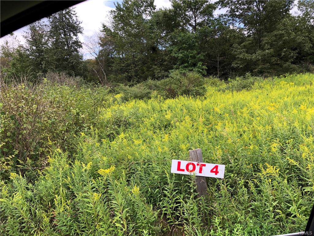 Lot #4 Route 208 - Photo 1