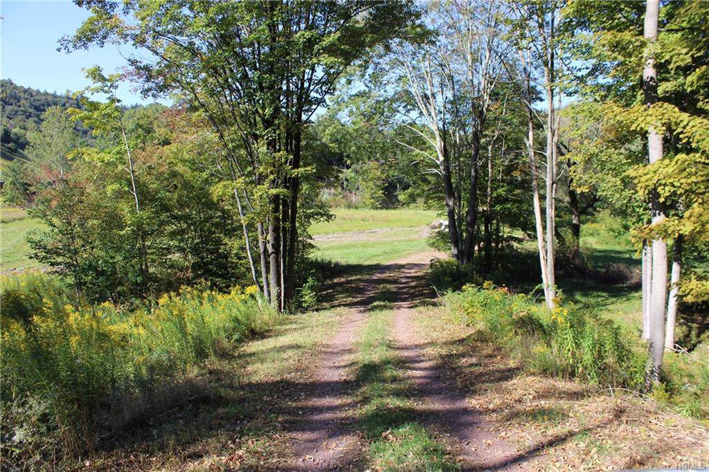 1583 Old Route 17 - Photo 1