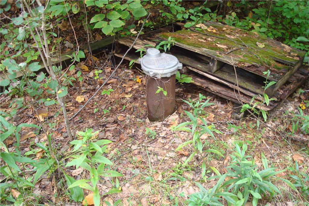 Crum Elbow Road - Photo 1