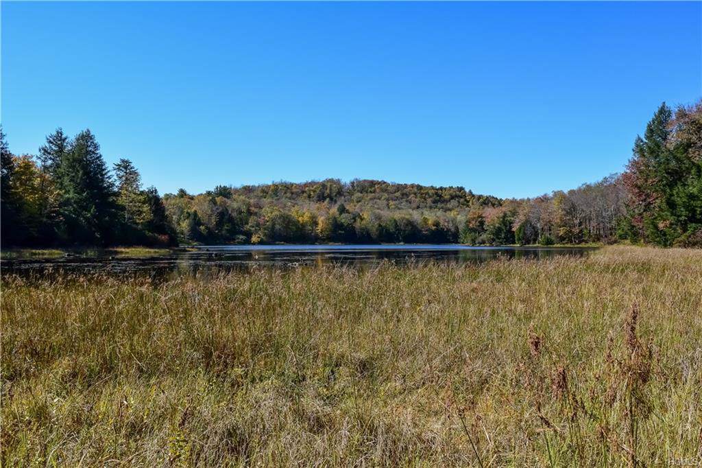 65 Eagles Ridge Way - Photo 1
