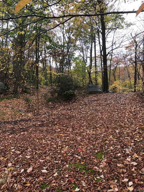 Eagle Mountain Road - Photo 1
