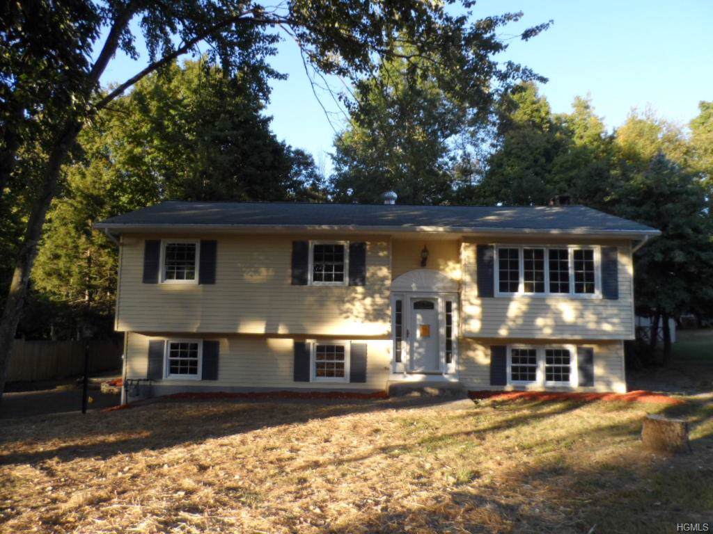 142 Purple Martin Road - Photo 1