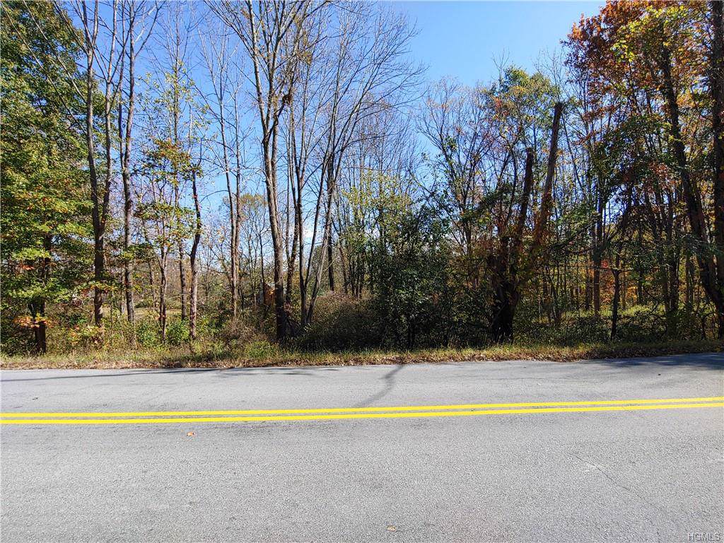 Greenville Turnpike - Photo 1