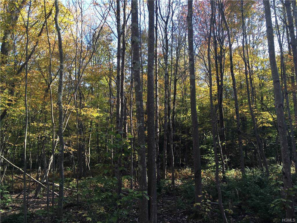 Chiloway Road - Photo 1