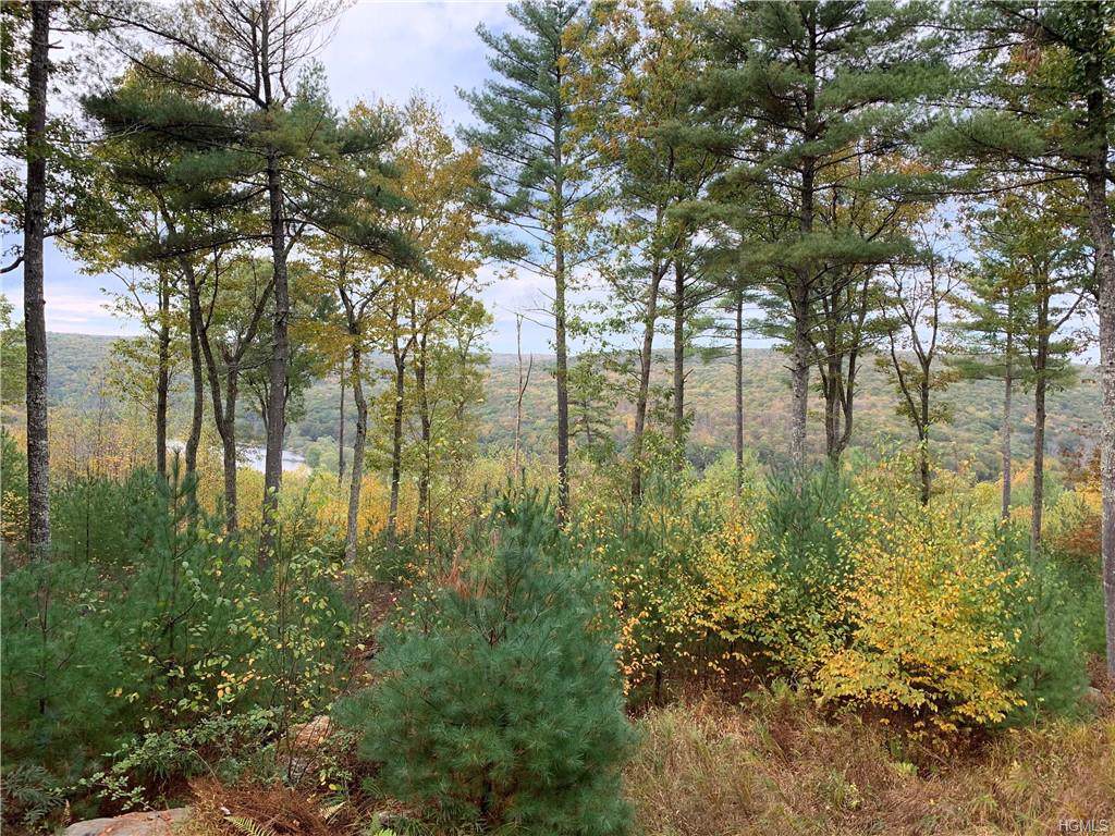 Eagle View - Photo 1 Eagle View - Photo 1