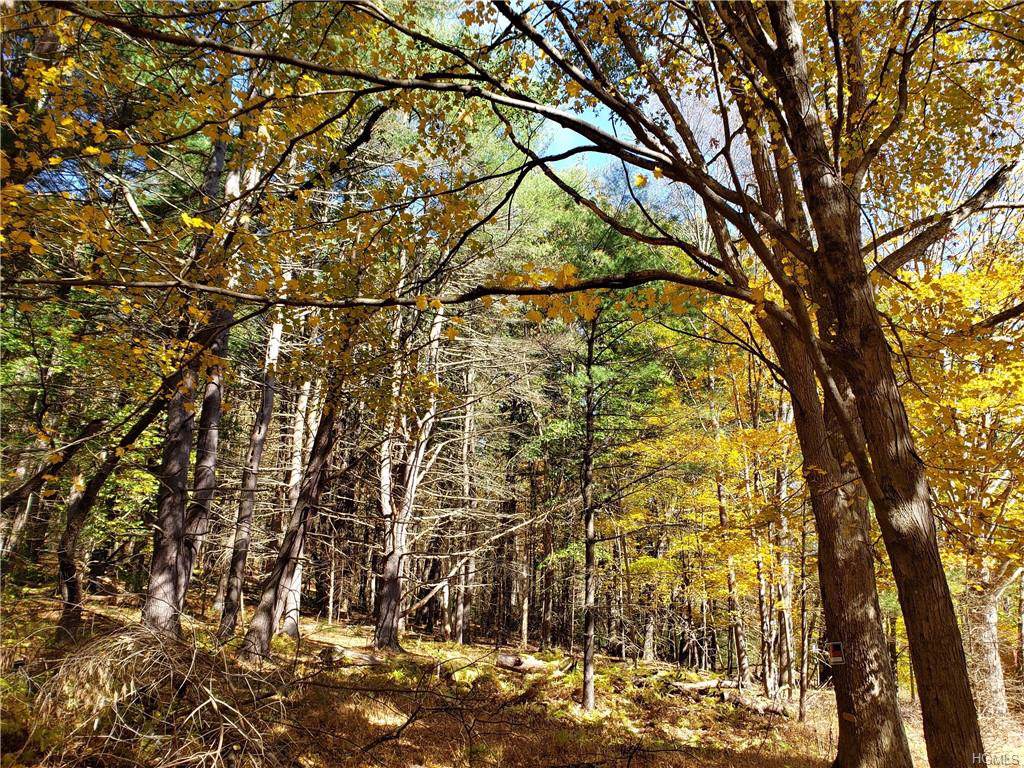 High Road - Photo 1 High Road - Photo 1