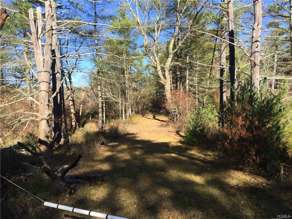 Highland Lake Road - Photo 1 Highland Lake Road - Photo 1